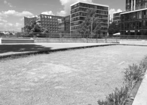 Bouleplatz (Pétanque) am Großen Grassbrook in Hamburg.