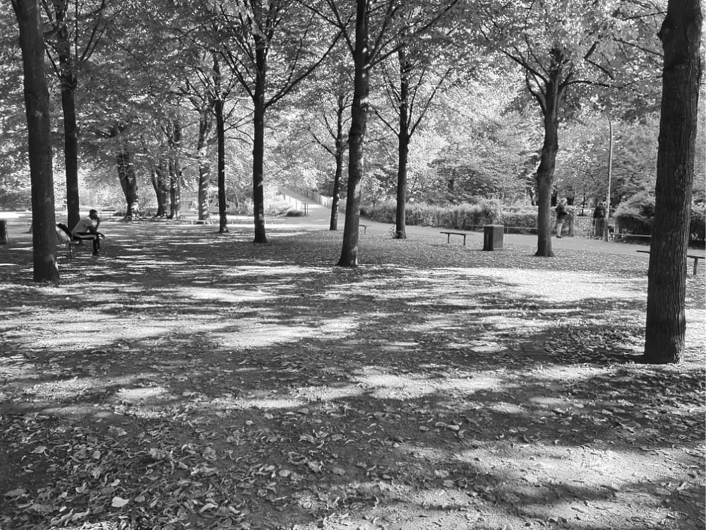 Boule- und Wettkampffläche "La France", Altona