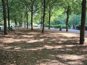 Boulefläche La France, Walter Möller Park, Hamburg