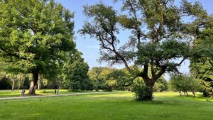 Stadtpark Hamburg