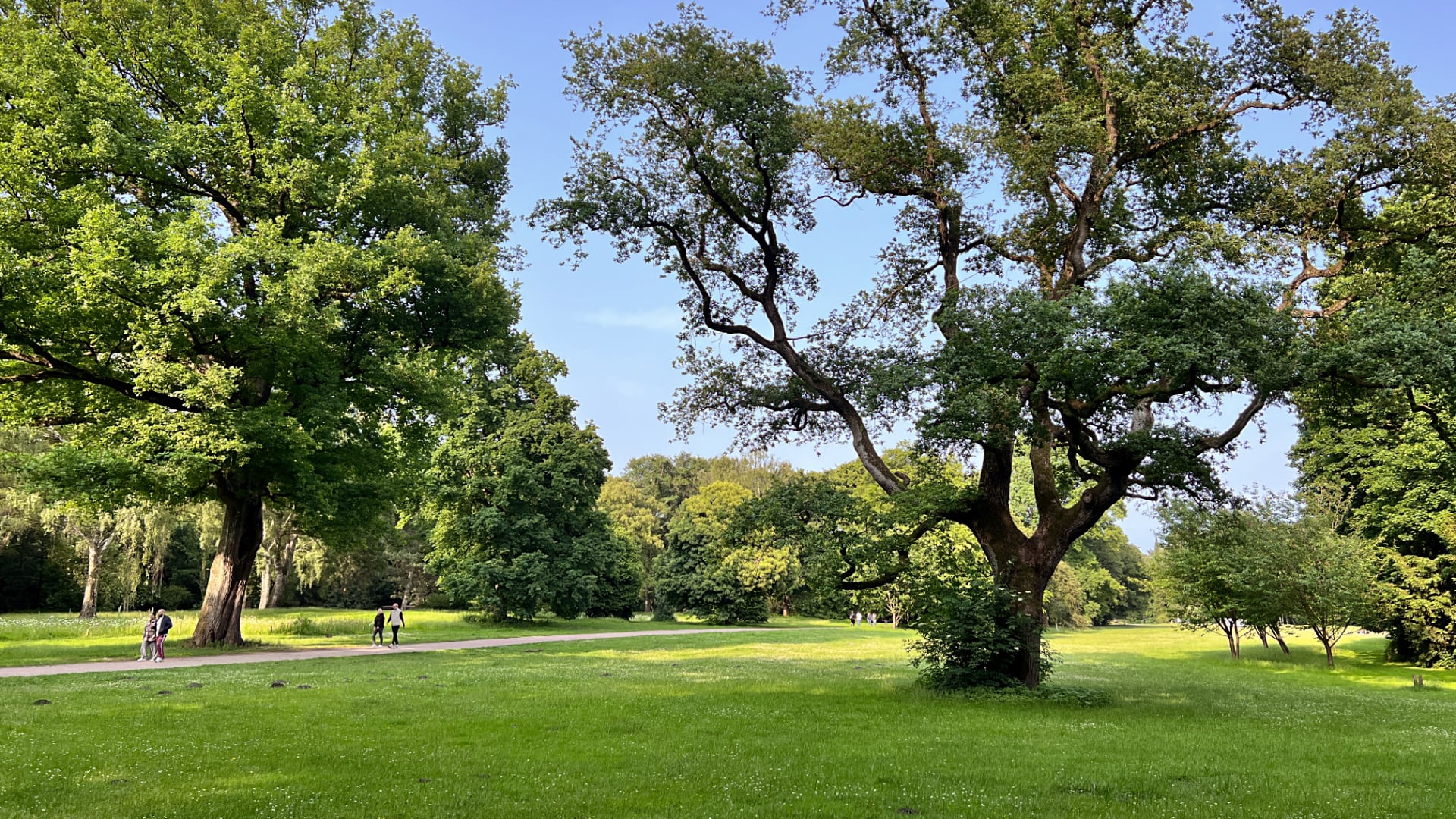 Stadtpark Hamburg