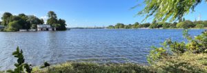 Aussenalster Richtung Innenstadt mit Ruderclub
