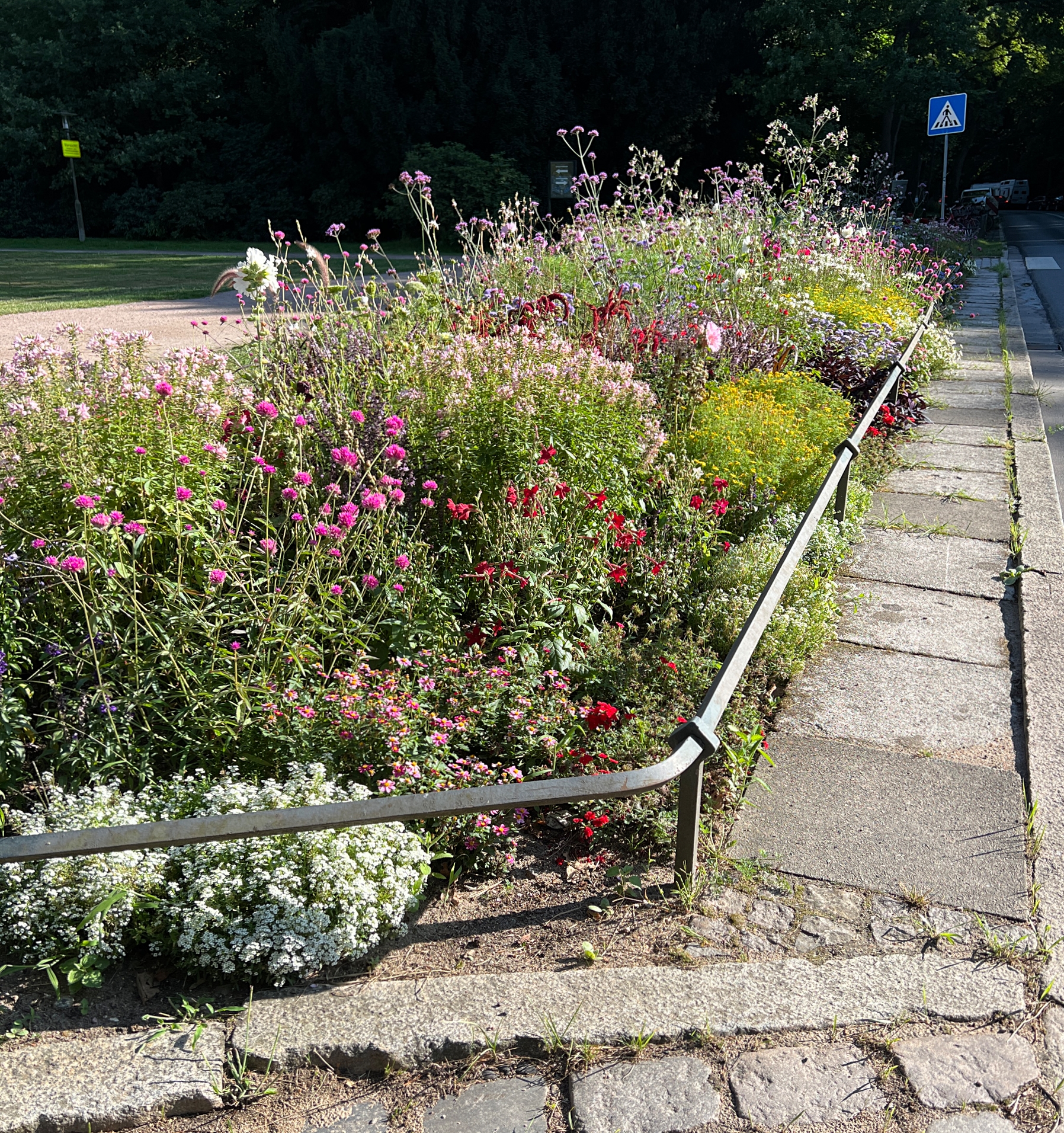 Wildbeet, Stadtpark Hamburg. Foto: Leon62
